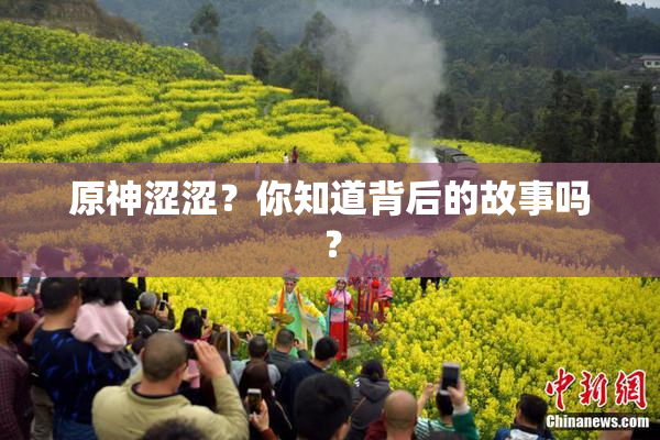 原神涩涩？你知道背后的故事吗？