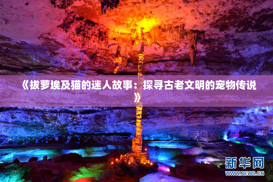 《拔萝埃及猫的迷人故事：探寻古老文明的宠物传说》