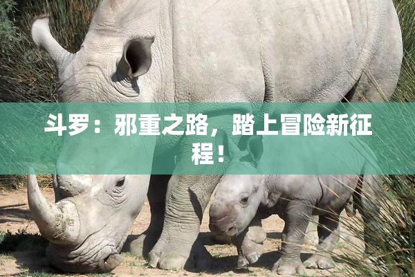 斗罗：邪重之路，踏上冒险新征程！