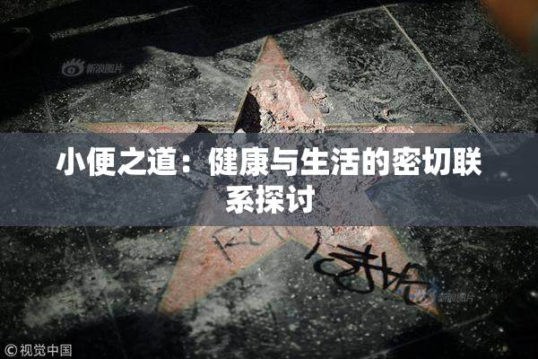 小便之道：健康与生活的密切联系探讨
