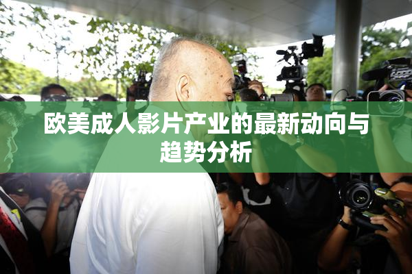 欧美成人影片产业的最新动向与趋势分析