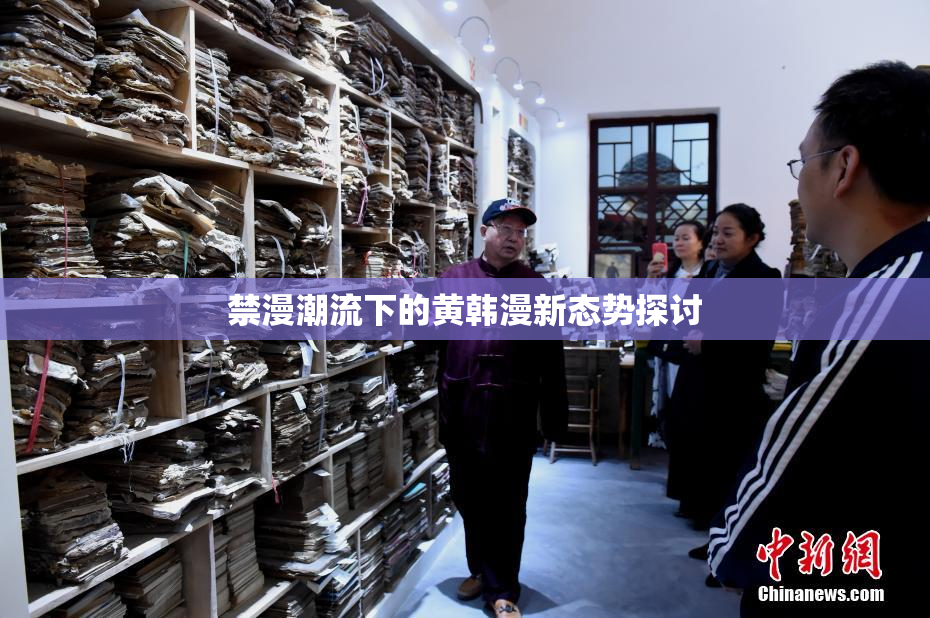 禁漫潮流下的黄韩漫新态势探讨