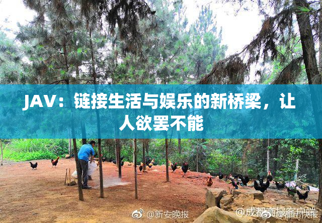 JAV：链接生活与娱乐的新桥梁，让人欲罢不能