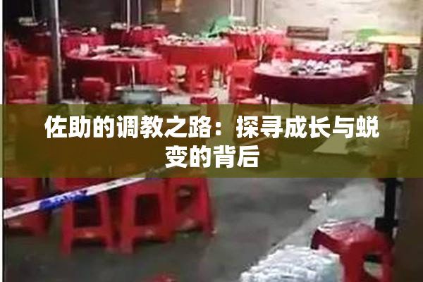 佐助的调教之路：探寻成长与蜕变的背后