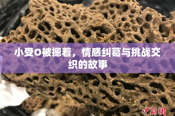 小受O被摁着，情感纠葛与挑战交织的故事