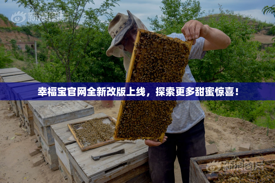 幸福宝官网全新改版上线，探索更多甜蜜惊喜！