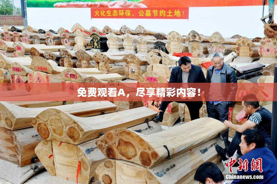 免费观看A，尽享精彩内容！