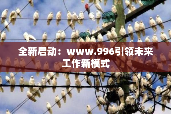 全新启动：www.996引领未来工作新模式