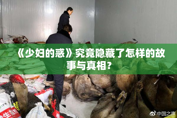 《少妇的惑》究竟隐藏了怎样的故事与真相？