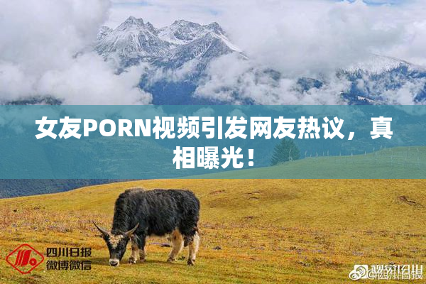 女友PORN视频引发网友热议，真相曝光！