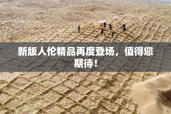新版人伦精品再度登场，值得您期待！