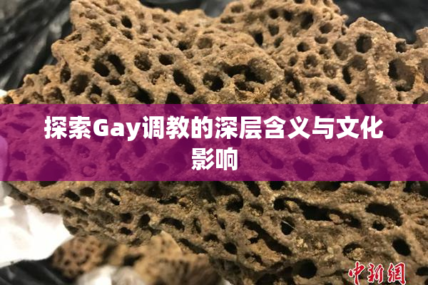 探索Gay调教的深层含义与文化影响