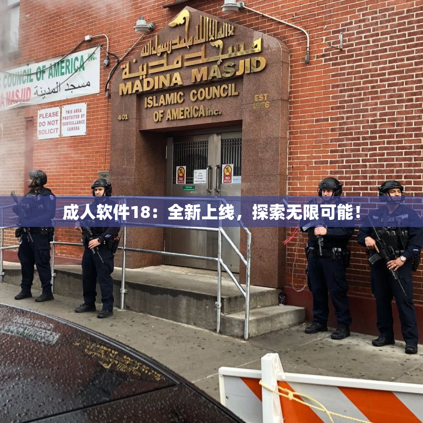 成人软件18：全新上线，探索无限可能！