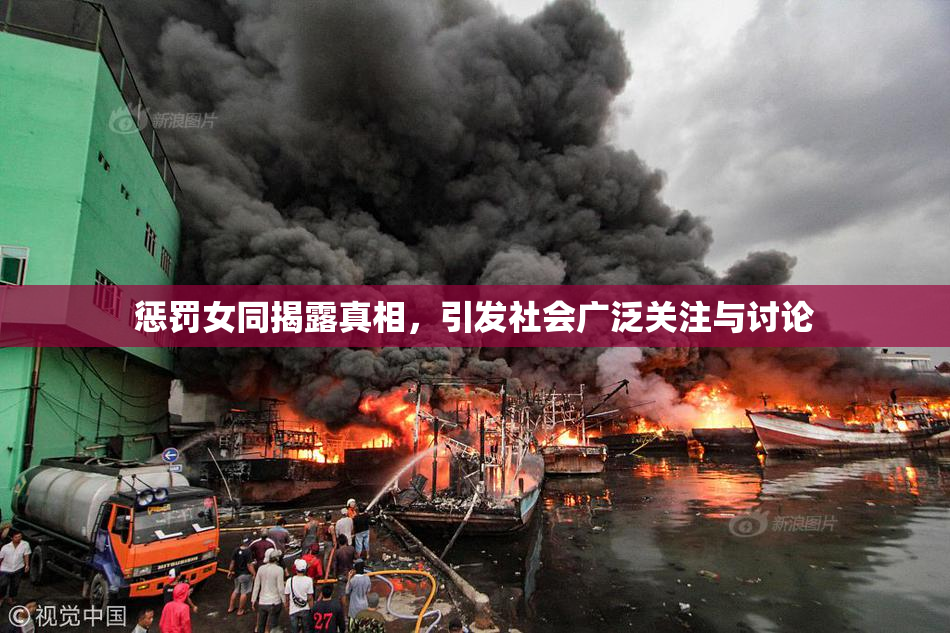 惩罚女同揭露真相，引发社会广泛关注与讨论