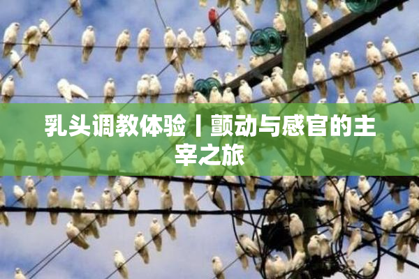 乳头调教体验丨颤动与感官的主宰之旅