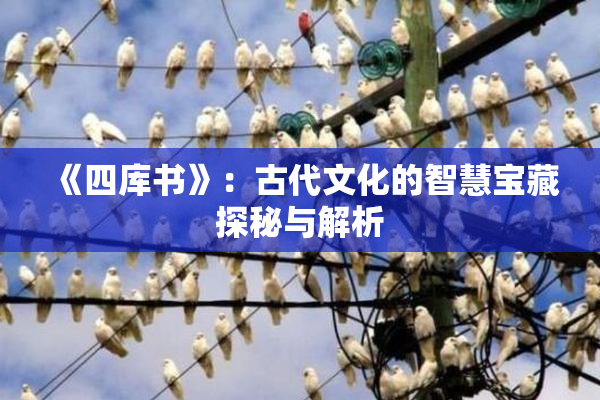 《四库书》：古代文化的智慧宝藏探秘与解析