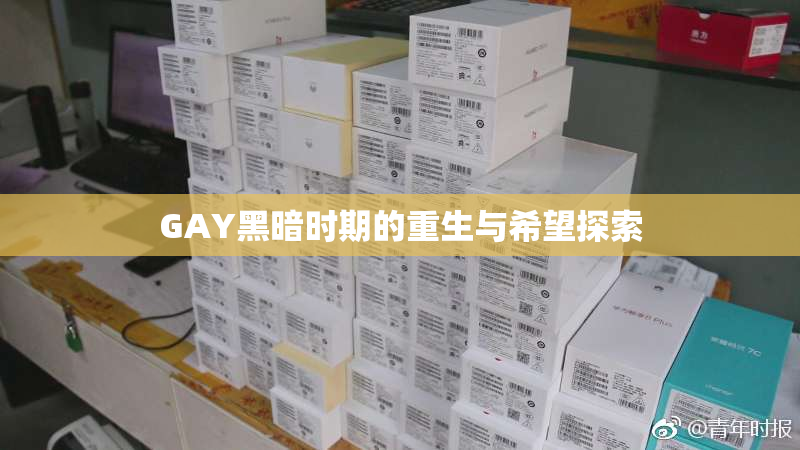 GAY黑暗时期的重生与希望探索