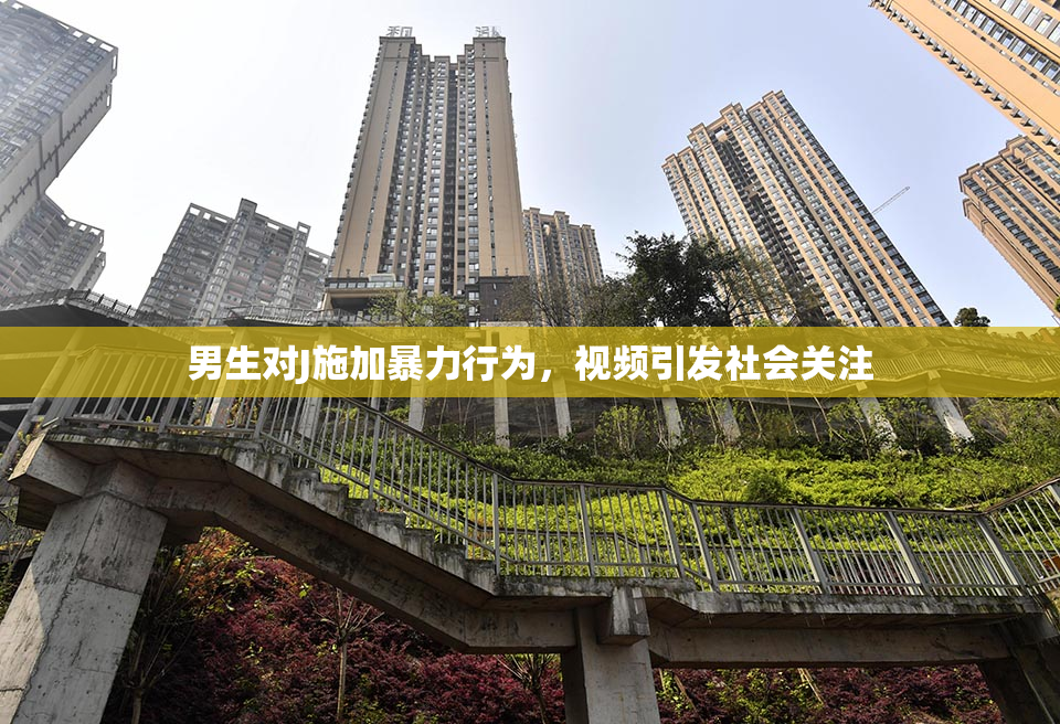 男生对J施加暴力行为，视频引发社会关注