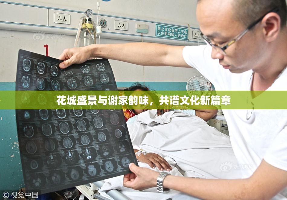 花城盛景与谢家韵味，共谱文化新篇章