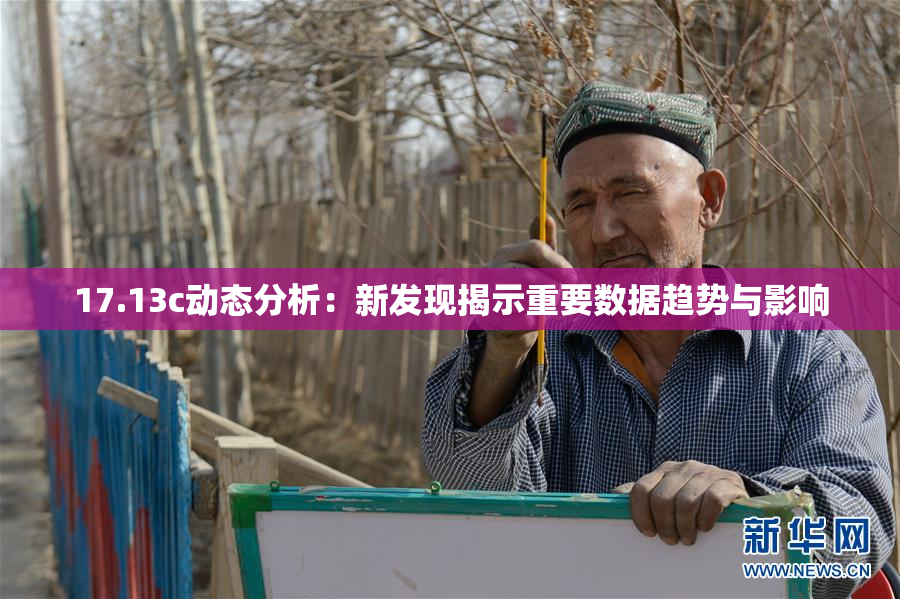 17.13c动态分析：新发现揭示重要数据趋势与影响