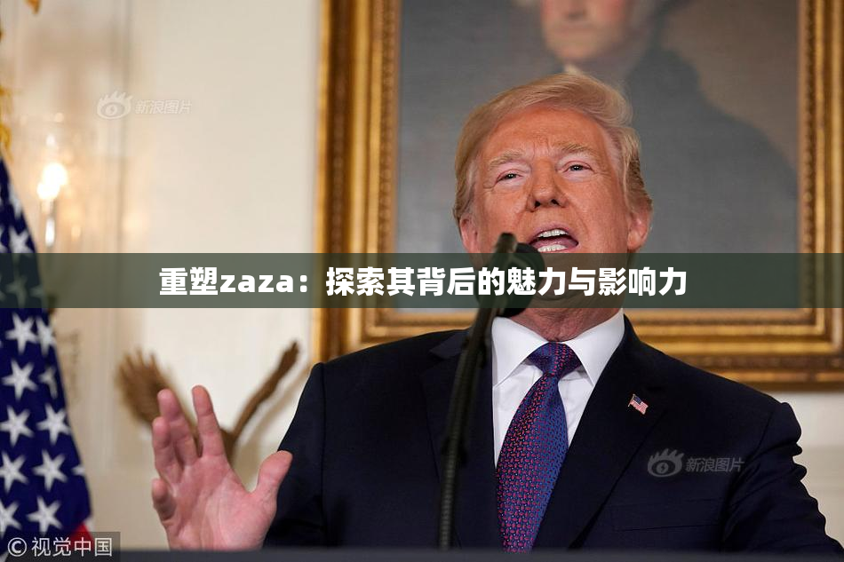 重塑zaza：探索其背后的魅力与影响力