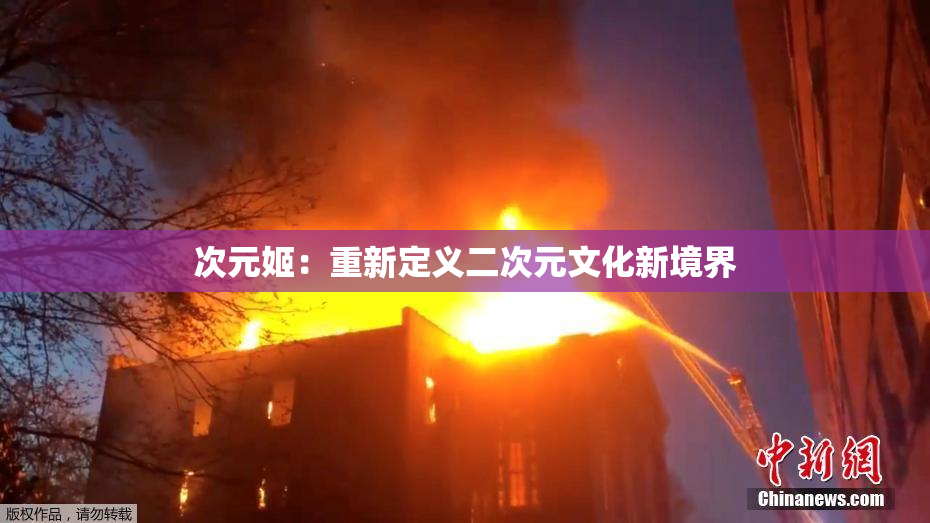 次元姬：重新定义二次元文化新境界