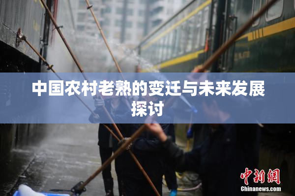 中国农村老熟的变迁与未来发展探讨