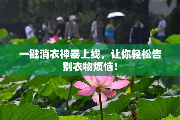 一键消衣神器上线，让你轻松告别衣物烦恼！