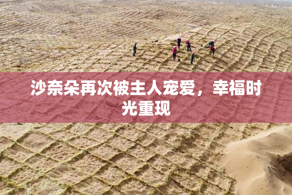 沙奈朵再次被主人宠爱，幸福时光重现