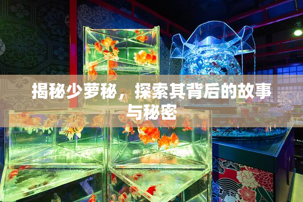 揭秘少萝秘，探索其背后的故事与秘密