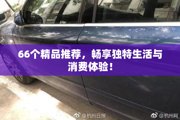 66个精品推荐，畅享独特生活与消费体验！