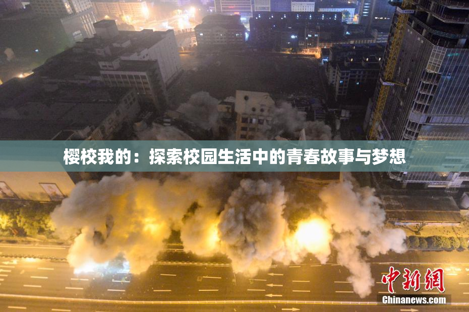 樱校我的：探索校园生活中的青春故事与梦想