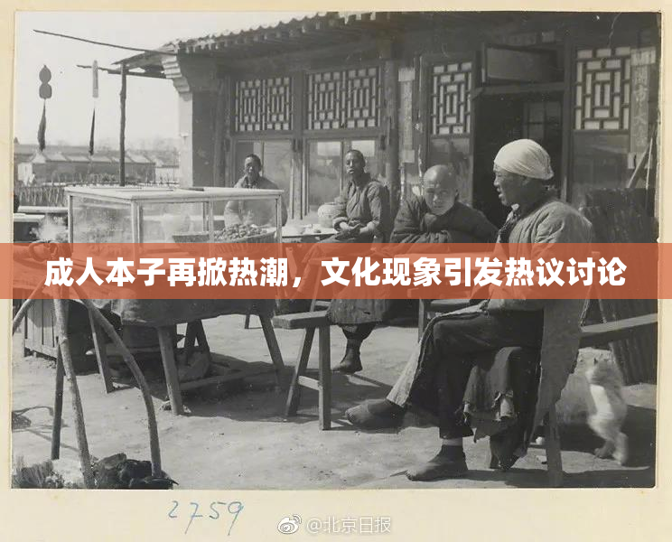 成人本子再掀热潮，文化现象引发热议讨论