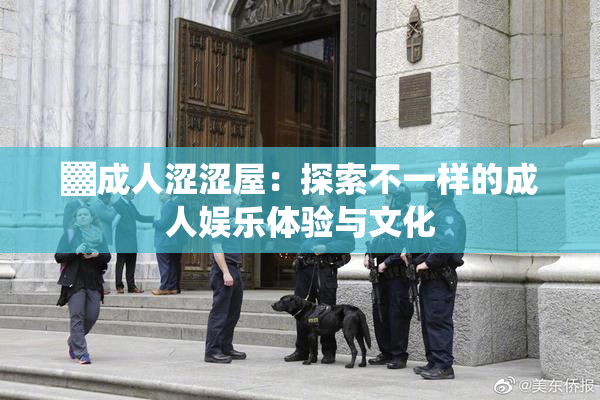 ▓成人涩涩屋：探索不一样的成人娱乐体验与文化