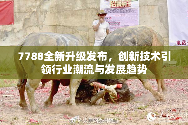 7788全新升级发布，创新技术引领行业潮流与发展趋势