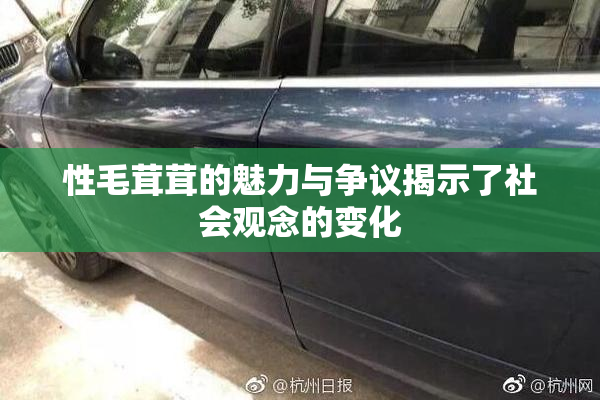 性毛茸茸的魅力与争议揭示了社会观念的变化