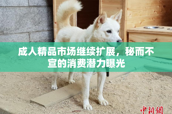 成人精品市场继续扩展，秘而不宣的消费潜力曝光