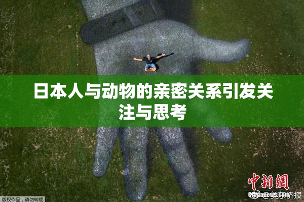 日本人与动物的亲密关系引发关注与思考