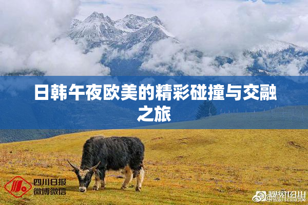 日韩午夜欧美的精彩碰撞与交融之旅