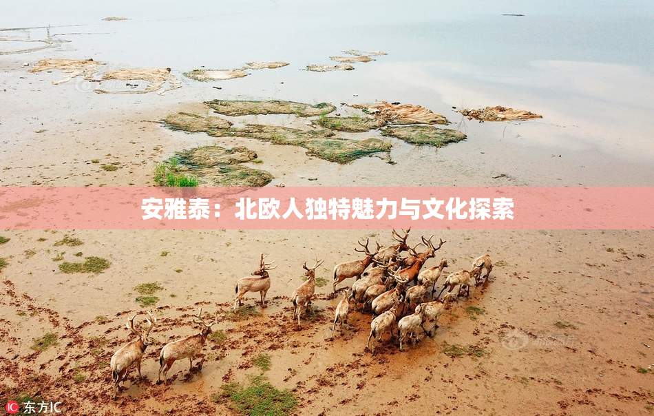安雅泰：北欧人独特魅力与文化探索