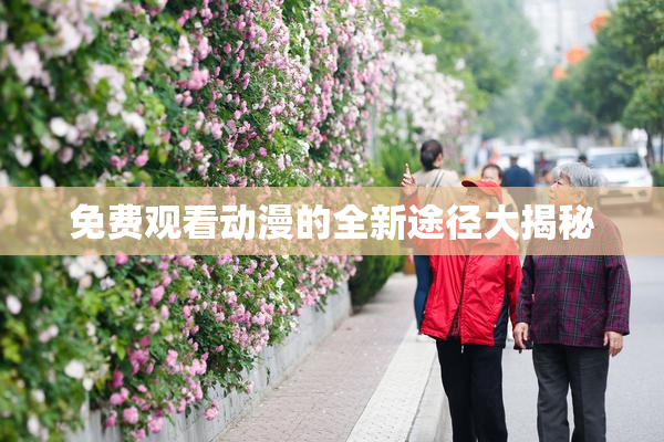 免费观看动漫的全新途径大揭秘