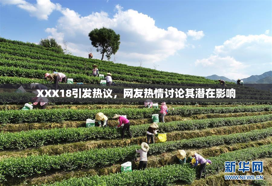XXX18引发热议，网友热情讨论其潜在影响