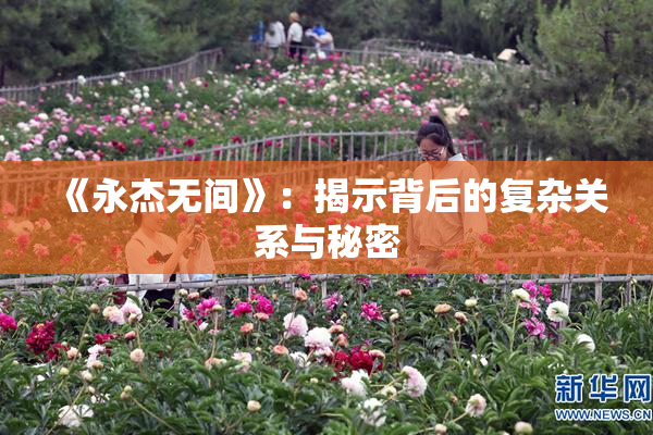 《永杰无间》：揭示背后的复杂关系与秘密