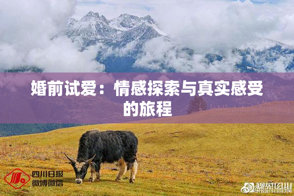婚前试爱：情感探索与真实感受的旅程