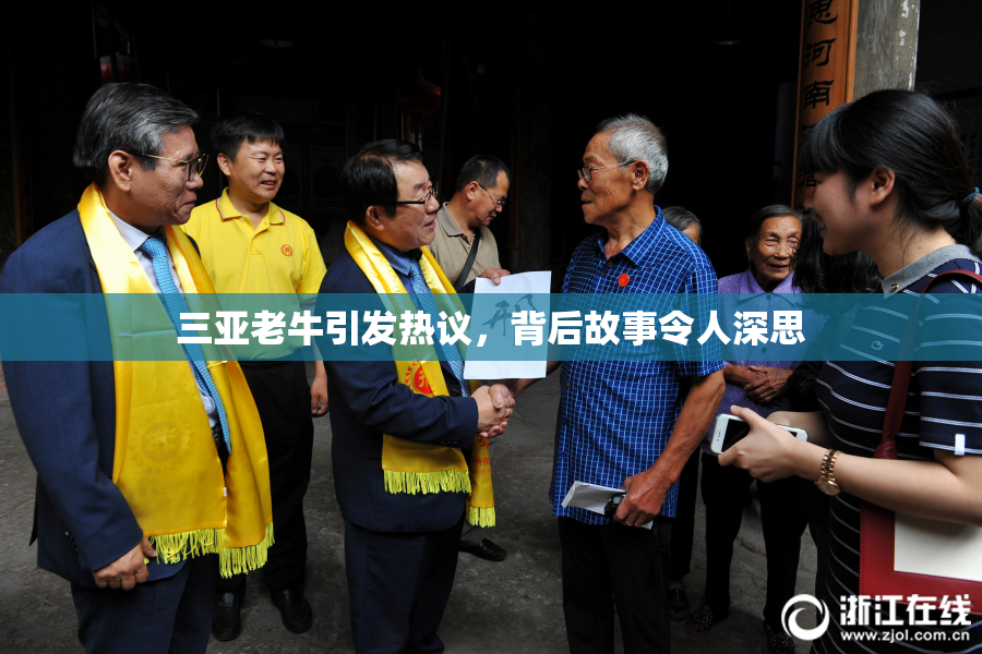 三亚老牛引发热议，背后故事令人深思