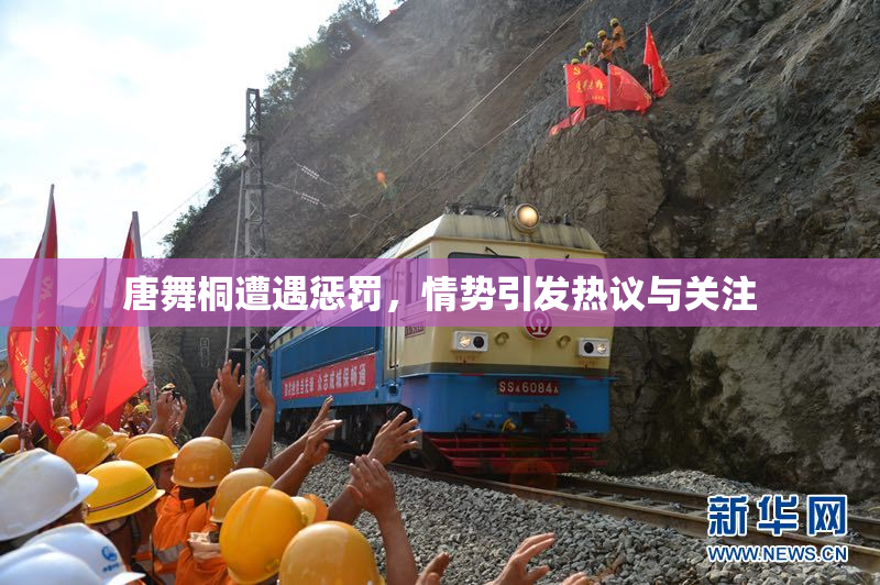 唐舞桐遭遇惩罚，情势引发热议与关注