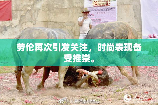 劳伦再次引发关注，时尚表现备受推崇。