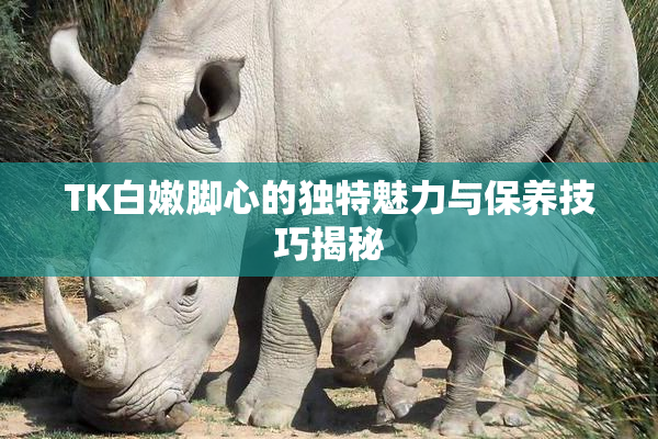 TK白嫩脚心的独特魅力与保养技巧揭秘