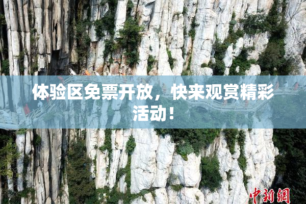 体验区免票开放，快来观赏精彩活动！