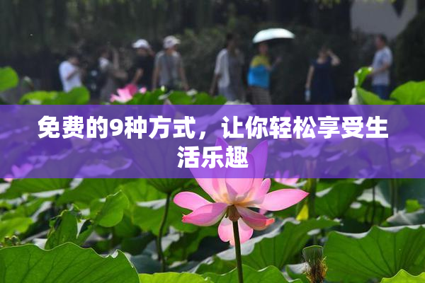 免费的9种方式，让你轻松享受生活乐趣